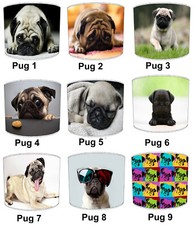 Pug dog puppy for sale  BOLTON