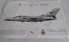 Tornado squadron signed for sale  CANTERBURY