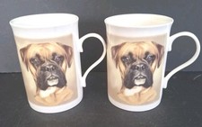 Boxer dog fine for sale  KEIGHLEY
