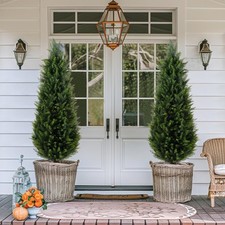 Artificial cedar trees for sale  Brentwood