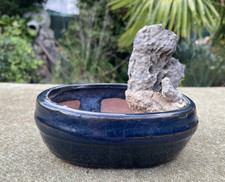 Bonsai schale val gebraucht kaufen  Mönchengladbach