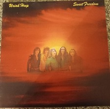 Vinyl album 1973 gebraucht kaufen  Troisdorf