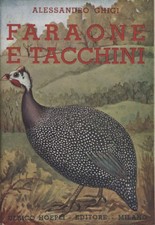 Galline faraone tacchini usato  Cambiago