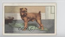 1936 gallaher dogs for sale  Auburn