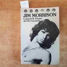 Jim morrison canzoni usato  Vaiano Cremasco