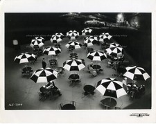 Parasols photo argentique d'occasion  L'Haÿ-les-Roses