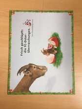 Köln fan artikel gebraucht kaufen  Wipperfürth