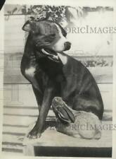 1933 press photo for sale  Memphis