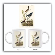 Lark finch prairie for sale  USA