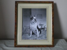 Framed black white for sale  HASTINGS