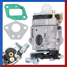 Carburatore per decespugliator usato  Torino