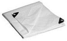 Foremost tarp 31012 for sale  Shipping to United Kingdom
