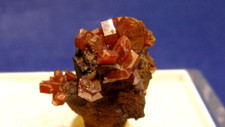 Minerale vanadinite taouz usato  Napoli