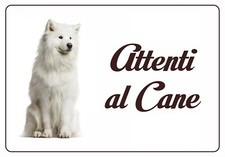 Samoiedo targa attenti usato  Valgioie