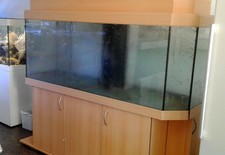 Eheim aquarium 200 gebraucht kaufen  Visselhövede