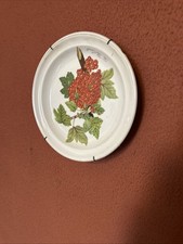 Piatto cena portmeirion usato  Italia