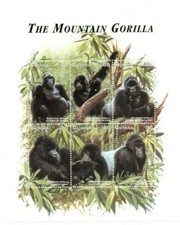 Guyana 1998 mountain for sale  Brooklyn