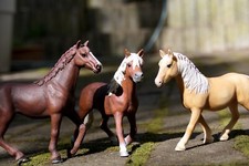 Riginal schleichpferde hafling gebraucht kaufen  Egelsbach