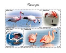 Folha de carimbo FLAMINGO Flamingo Wading Birds/Bird MNH 4v #2135 2022 Serra Leoa, usado comprar usado  Enviando para Brazil