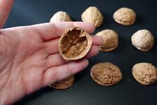 Walnut shell diy for sale  SEAHAM