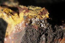 Grube rotläufchen waldgirmes gebraucht kaufen  Edelsfeld