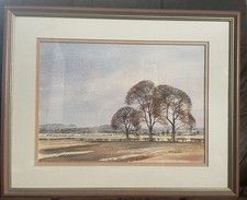 Beautiful water colour. for sale  BATLEY