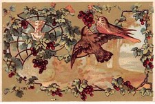 Cromos -COR14207-Pájaros -Plantes - Forro Oro - 9x6CM Aproximadamente - En comprar usado  Enviando para Brazil