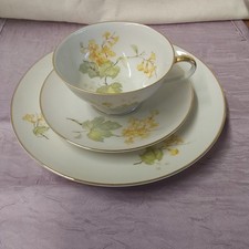 Hutschenreuther sammeltasse fl gebraucht kaufen  Iserlohn