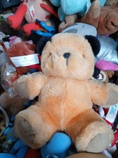 Golden bear sooty for sale  NEWCASTLE UPON TYNE