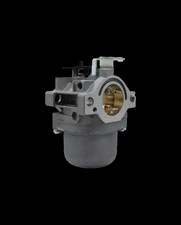 Briggs stratton carburatore usato  Italia