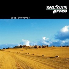 Seafoam green soul gebraucht kaufen  Deutschland