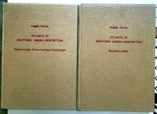 atlante anatomia usato  Gioia del Colle