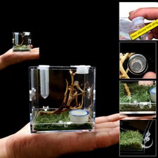 Acrylic insect feeding d'occasion  Expédié en Belgium