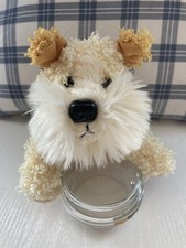 Light brown white for sale  BIRMINGHAM