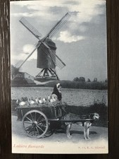 Dog cart milk for sale  Stamford