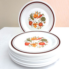 Arcopal dinner plates for sale  CREWE