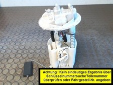Kraftstoffpumpe citroen berlin gebraucht kaufen  Warendorf