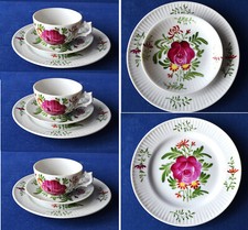 Stfriesische rose komplette gebraucht kaufen  Deutschland