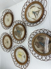 Vintage butterflies rattan for sale  Mount Airy