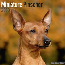 Calendrier 2018 pinscher d'occasion  Troyes