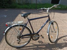 Herrenfahrrad zoll kreidler gebraucht kaufen  Nordhausen