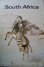 South africa zebras for sale  New York