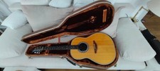 Matrix vation gitarre gebraucht kaufen  Berlin