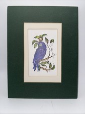 Hyacinth macaw pointillist for sale  Vancleave