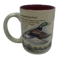 American expedition mallard for sale  Liberty