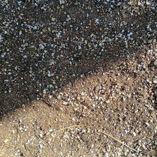 Litre succulent soil for sale  BIGGLESWADE