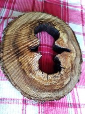 Live edge maple for sale  Arpin