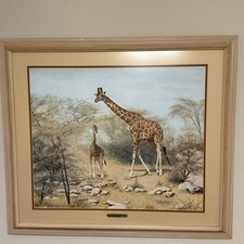 Charles frace quiet for sale  Fort Worth