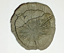 Pyrit sonne pyrit gebraucht kaufen  Plettenberg