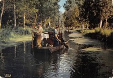 Poitevin marsh green d'occasion  Expédié en Belgium